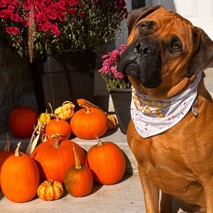 Meet your Posher, Lauryn